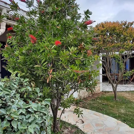 Les Amarres Belle Maison 1,5km De La Сasa de vacaciones Saint-Denis-dʼOléron